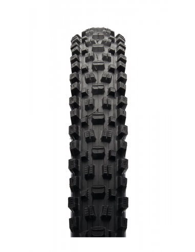 29X2.60 MAXXIS ASSEGAI EXO+ TLR 3CT  60TPI