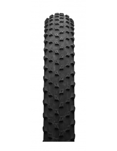29X2.25 VITTORIA BARZO ARO 2