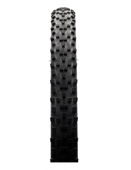 29X2.35 MAXXIS FOREKASTER EXO TLR 120TPI