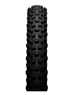 29X2.50 MAXXIS ASSEGAI EXO+ TLR 3C  DH MAXX GRIP 2