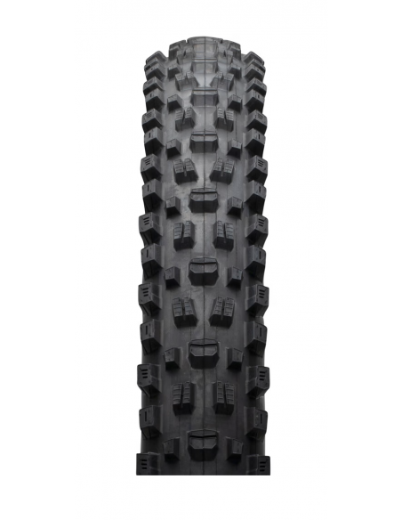 29X2.60 MAXXIS ASSEGAI EXO TLR 