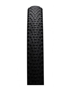 29X2.25 MAXXIS REKON RACE EXO TLR 120TPI 2