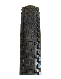 29X2.50 MAXXIS ASSEGAI WT 60TPI EXO/TR 2