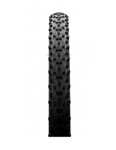 29X2.20 MAXXIS FOREKASTER EXO TLR 120TPI 2