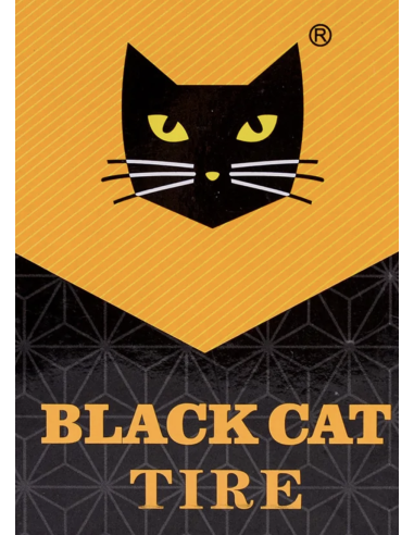 BLACK CAT