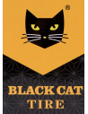 BLACK CAT