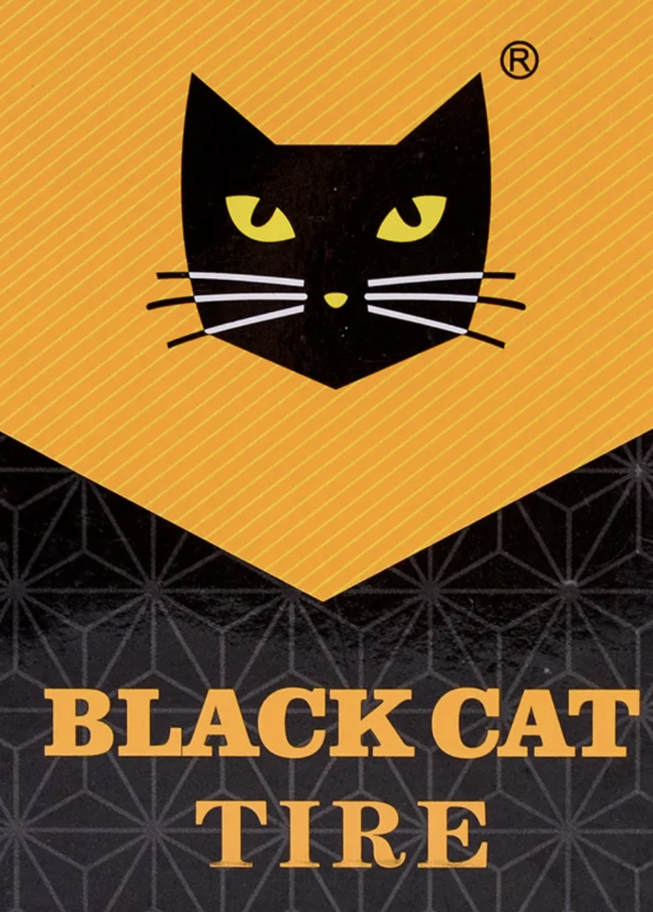 BLACK CAT